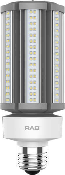 Лампа RAB HID-45-E26-850-BYP-PT для уличных столбов 45W 175EQ E26 CRI80 5000K 6800LM