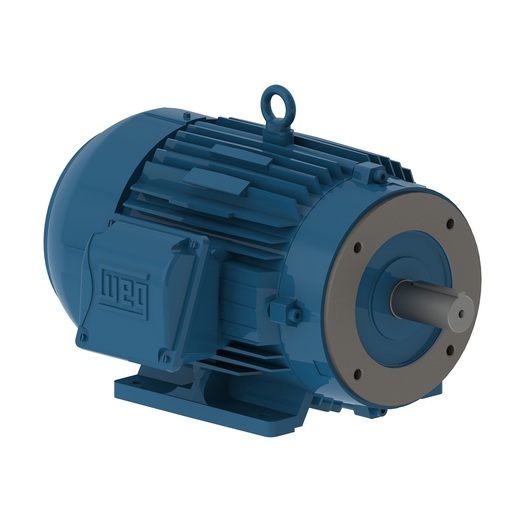 WEG 00118ET3E143TC-W22 1HP 1800 3 60 208-230/460V TEFC-NEMA Pr