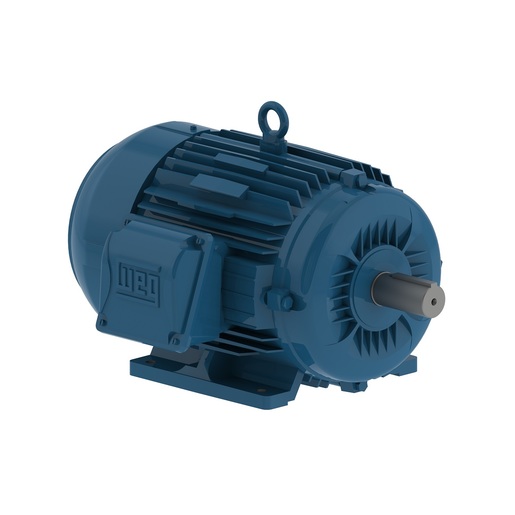 WEG 01036ET3E215T-W22 10HP 3600 3 60 208-230/460V TEFC-NEMA Pr