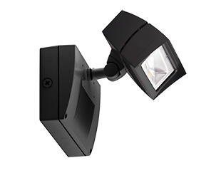 RAB FFLED18/E LBACKUP LED-прожектор аварийного освещения 18W холодный свет 120-277V бронзовый