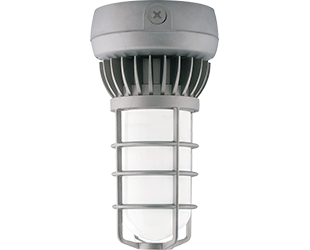 RAB VXLED26DG-3/4 VAPORPROOF LED 26W Холодный свет 3/4 Матовый стеклянный шар Литая алюминиевая конструкция GD Потолочный